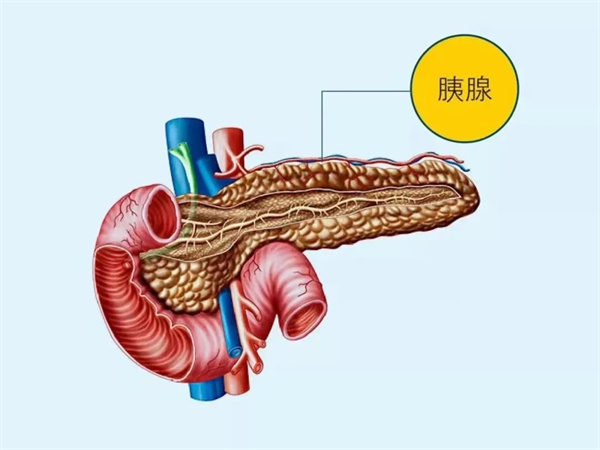 【世界胰腺癌日】關(guān)注胰腺癌，讓愛看得見